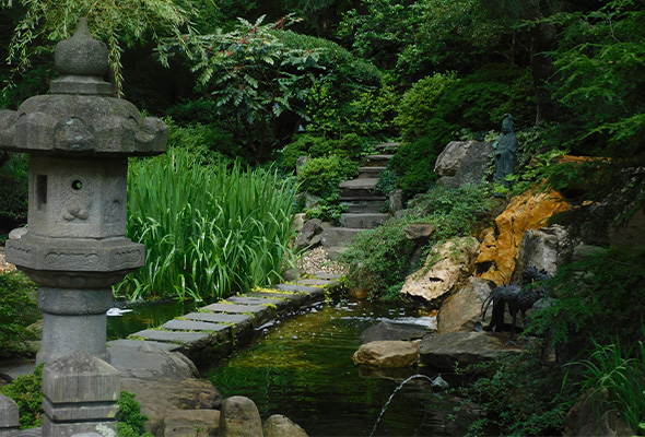Zen Garten von Luxury Trees®